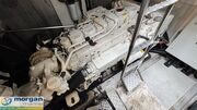  Sunseeker  Predator 52