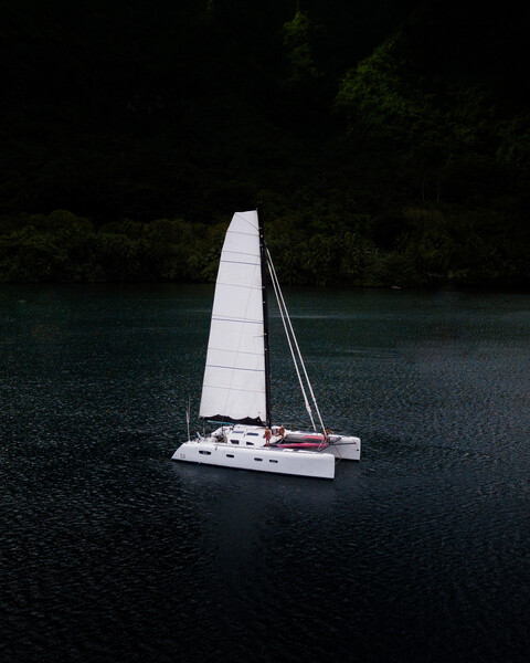  Barreau/Marsaudon TS 50