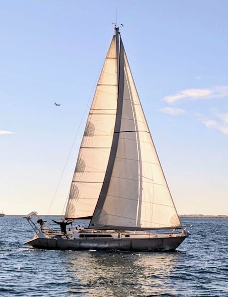  Pouvreau PROTO 37