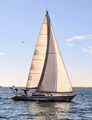  Pouvreau PROTO 37