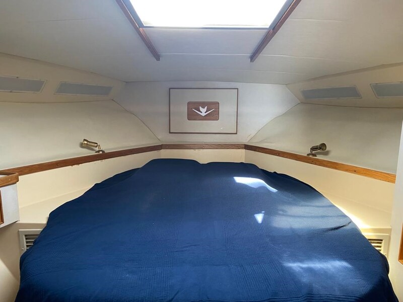 Bertram 37, cabin Bertram Yacht 37' Convertible