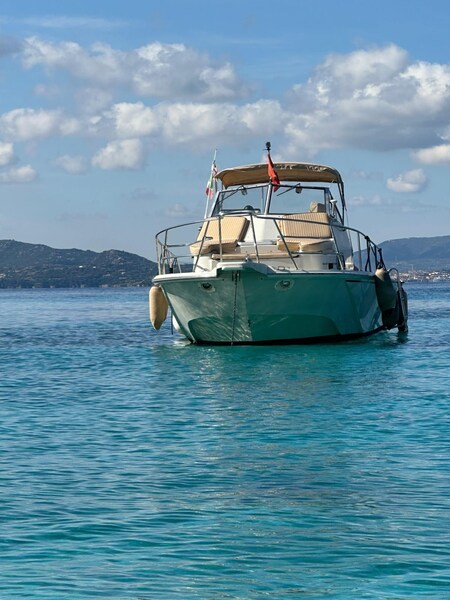 Boston Whaler 25 Revenge wa.jpg Boston Whaler 25 REVENGE