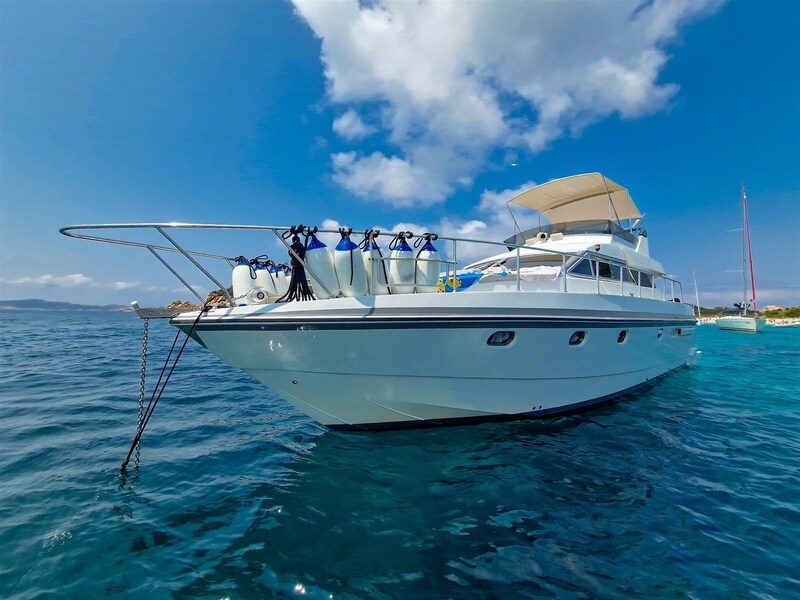 Mochi Craft 44 Fly Edelweiss Mochi Craft 44 Fly
