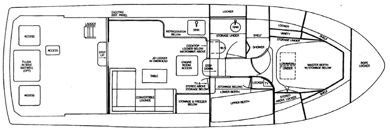 {L} floorplan Bertram Yacht 37' Convertible