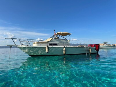 Boston Whaler 25 REVENGE