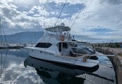 Hatteras 50 Conv. profile Hatteras 50 CONVERTIBLE