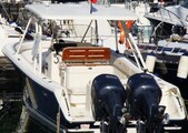 001 Pursuit S 310 Sport