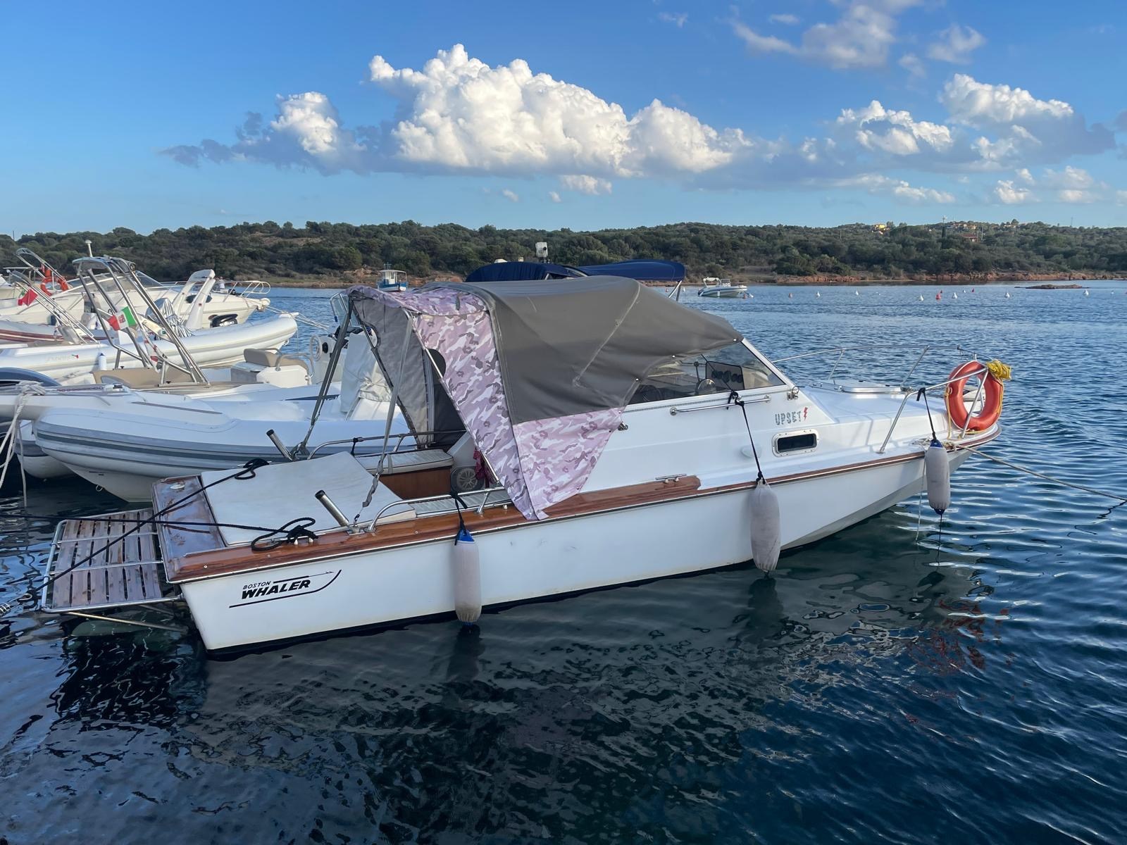 Boston Whaler 22 REVENGE vendesi