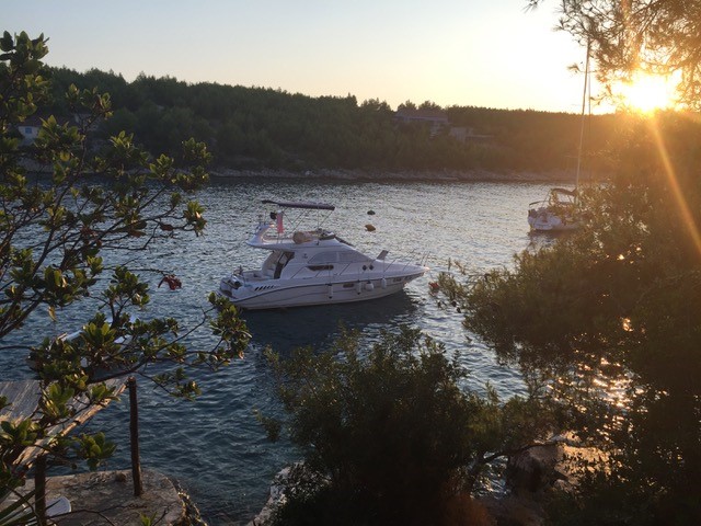 zguk Sealine F33