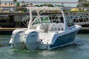  Edgewater 262CX